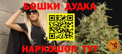 спайс Шебекино