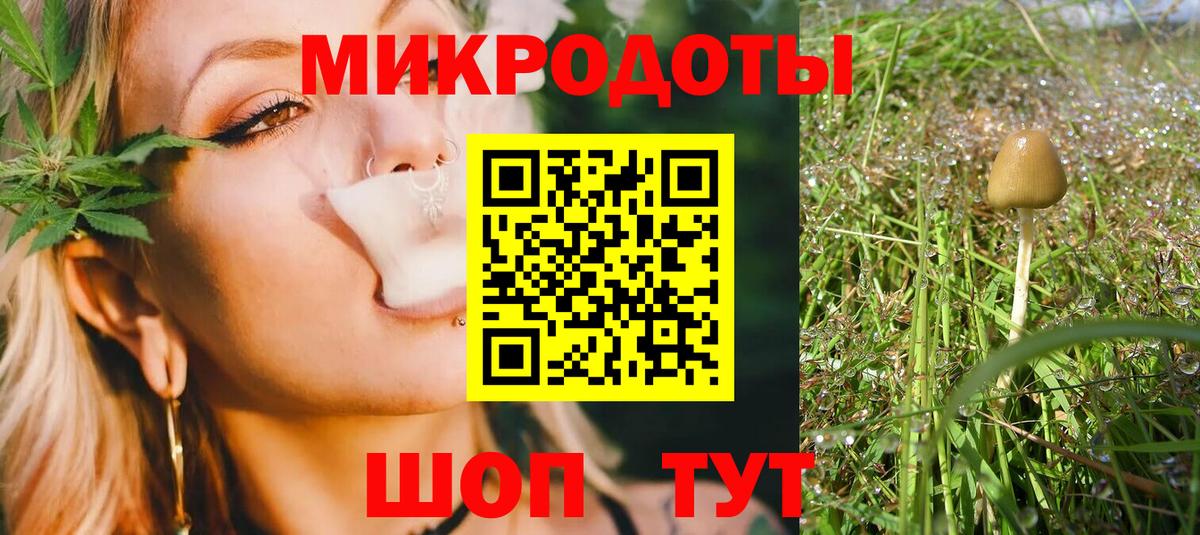 Псилоцибиновые грибы MAGIC MUSHROOMS  Вход с VPN  сколько стоит  Галлюциногенные грибы прущие грибы  Городец 